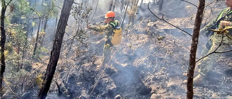 Militares colaboran en sofocar incendio forestal en Perquín, Morazán