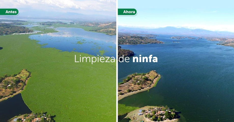MARN desarrolla jornada de eliminación de ninfas en embalse del Cerrón Grande