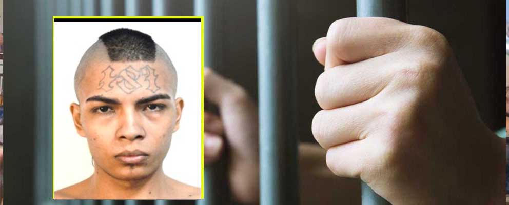 Pandillero pasará en prisión por quitarle la vida a su víctima tras torturarlo