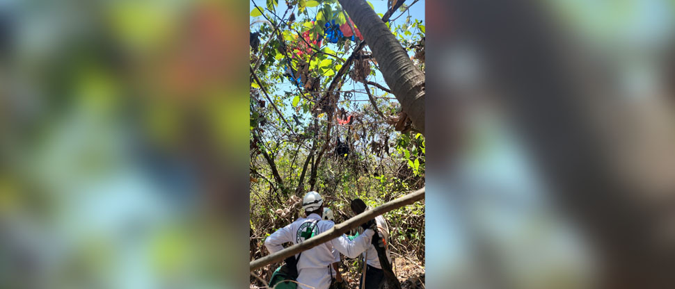 Localizan a paracaidista que se accidentó tras no caer en punto indicado en Ilopango