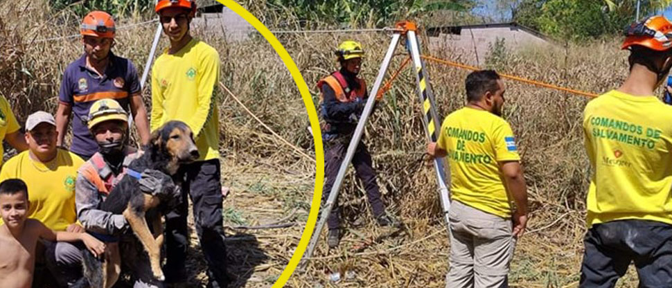 Rescatan a Tyson, perro que cayó a un pozo de 25 metros de profundidad