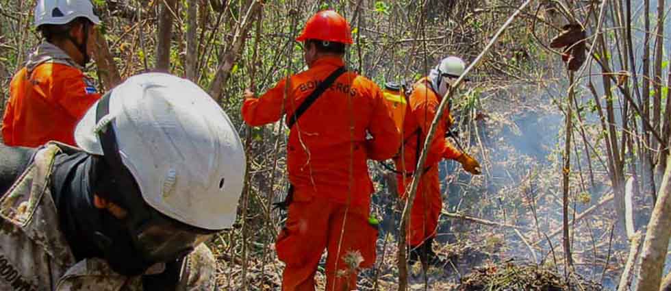 Diferentes instituciones trabajan desde ayer para sofocar incendio forestal en área protegida