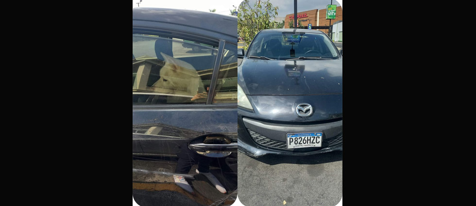 Denuncian que perrito lleva encerrado más de dos horas dentro de un auto en centro comercial