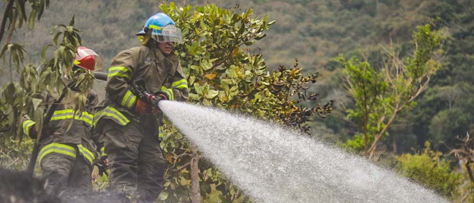 Cuerpo de Bomberos controla incendio de maleza en San Marcos y evita que se propague
