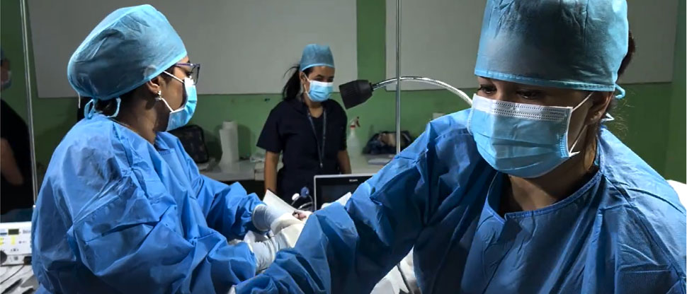 IBA desarrolla campaña de esterilización y castración de perros y gatos en El Guaje