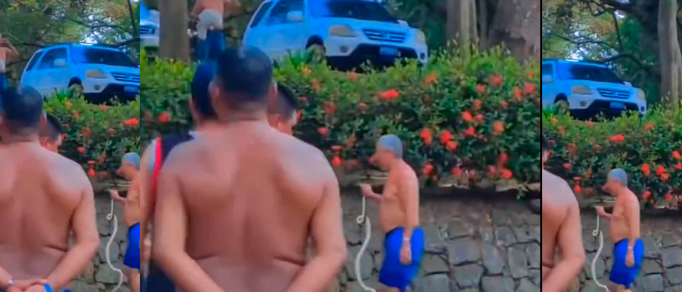 Terror: serpiente nada entre bañistas en piscina de Atecozol