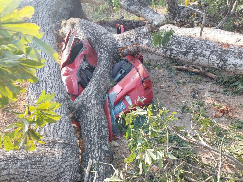 Árboles caen sobre dos vehículos en San Luis Talpa, La Paz