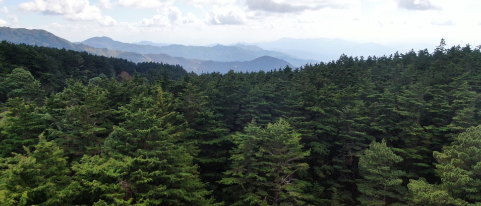 El domingo estará cerrado temporalmente el Parque Nacional Montecristo