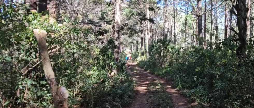 Declaran el Cerro Negro como Zona de Protección Acuífera