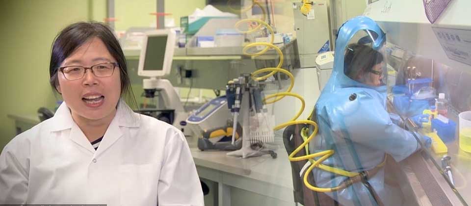 Incrementan sospechas contra científica china por pandemia por Covid-19