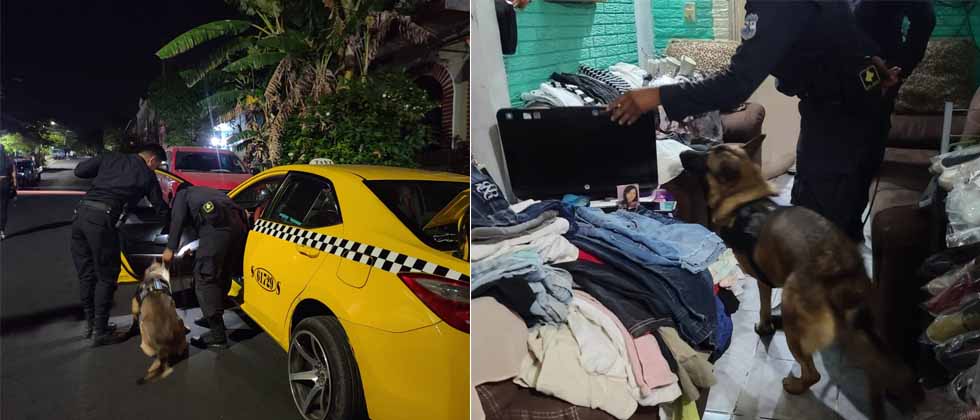Capturan a «taxista» que ocultaba marihuana y cocaína en su vivienda en Altavista