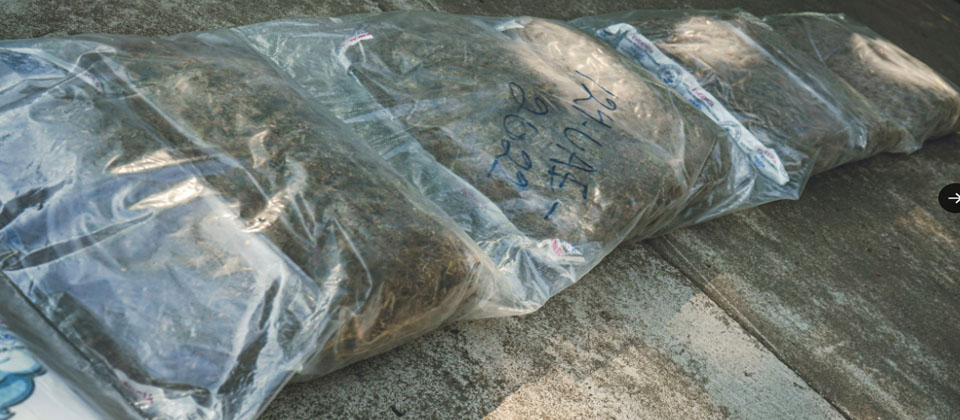 Fiscalía General de la República y PNC verifican droga decomisada para su destrucción