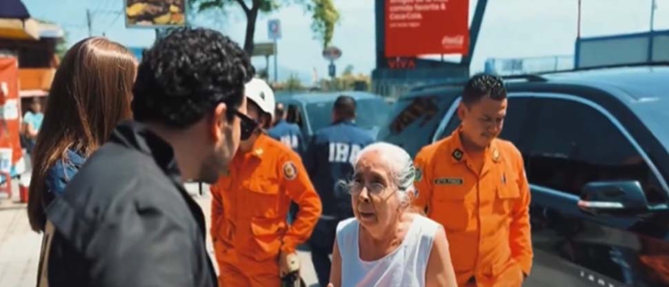 Rescatan a gatita que pasó 7 días en una vaya publicitaria sin poder bajar
