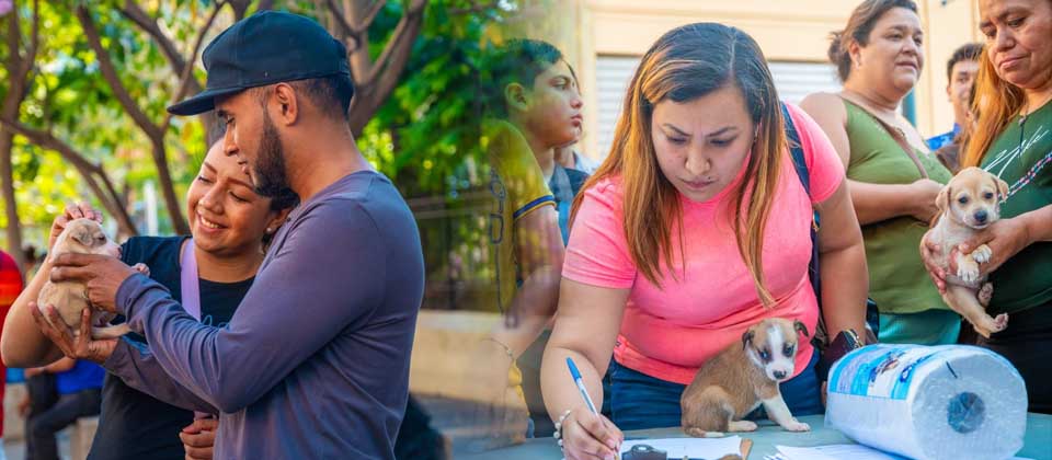 Así se vivió la jornada de adopción de cachorros en el Centro Histórico de San Salvador