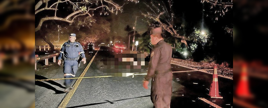 Mujer muere atropellada sobre carretera Panamericana en la noche del sábado