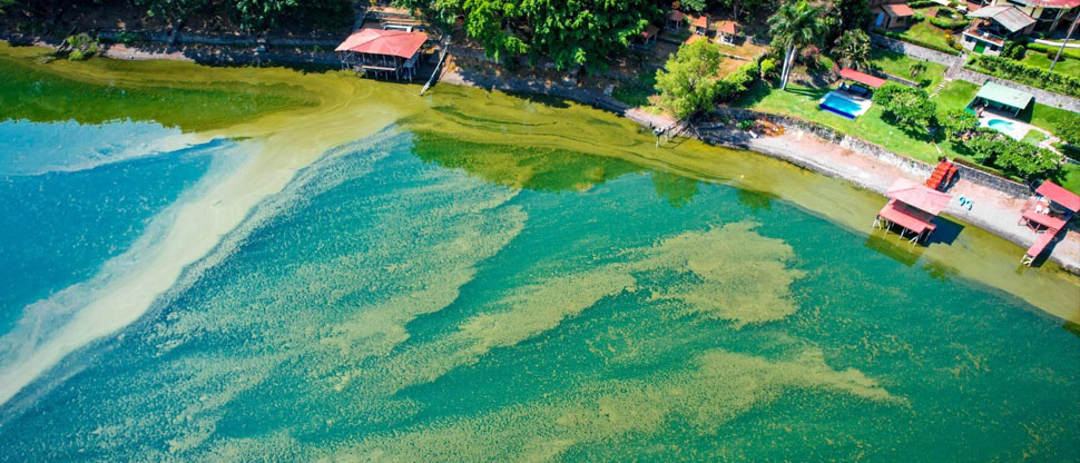 Alertan por aumento de algas en zona sur del lago Coatepeque