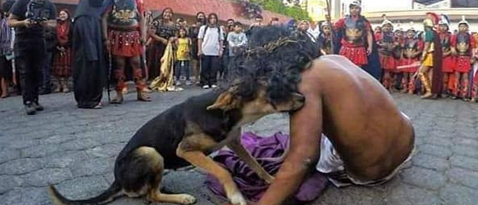 Perro se hace viral por “consolar” a joven que dramatizaba a Jesús en viacrucis viviente
