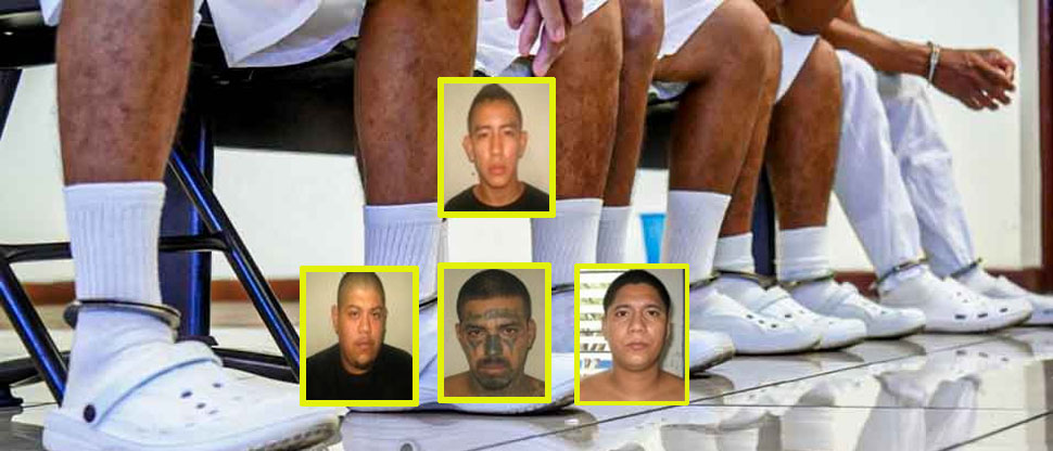 Condenan hasta 200 años de cárcel a pandilleros responsables de 23 homicidios cometidos en 2014