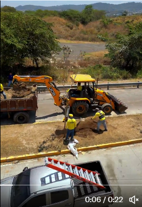 Reforestan con árboles de Maquilishuat parques el Principito y Bicentenario