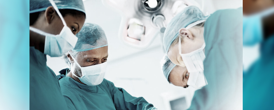 Realizan trasplante de cerdo a un hombre y reacciona favorablemente