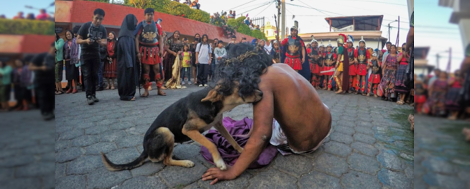 Perrito se acerca a consolar a joven que interpretaba a Jesús durante un viacrucis
