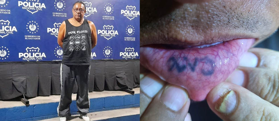 Cae peligroso 18-S que no aparentaba ser terrorista
