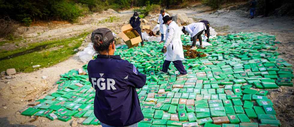 FGR destruye casi 48 millones de dólares en drogas