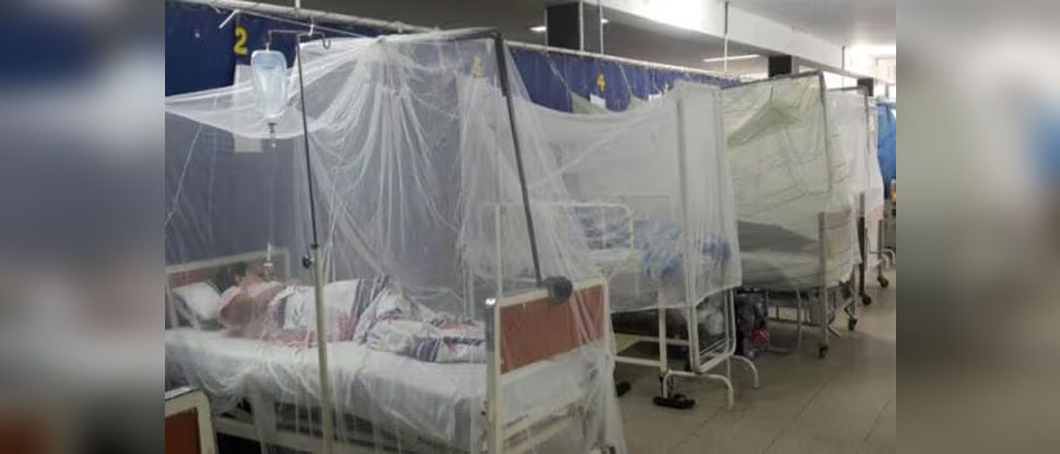HONDURAS: autoridades reportan casi 50,000 casos sospechosos de dengue