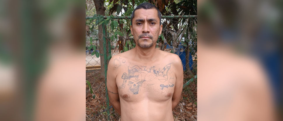 Cae alias Pito, marero del barrio 18 que se ocultaba en Altavista