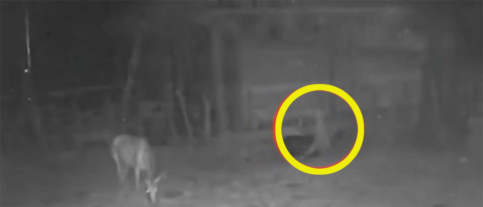 Escalofriante video muestra actividad paranormal en un corral de Chalatenango