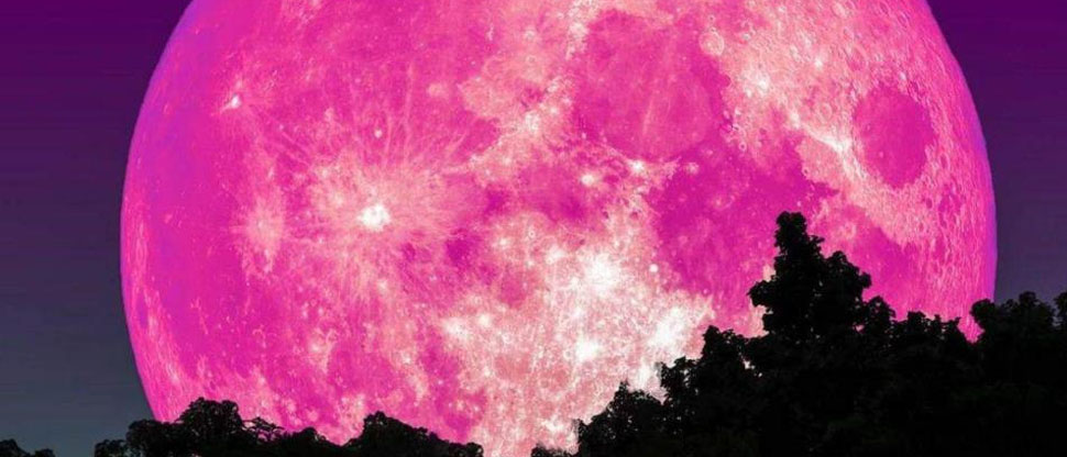 Esta es la fecha en la que será visible el fenómeno llamado “Luna Rosa”