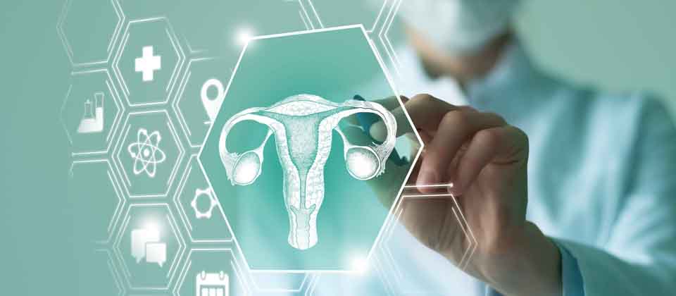 Virus del Papiloma Humano y su impacto en la salud pública