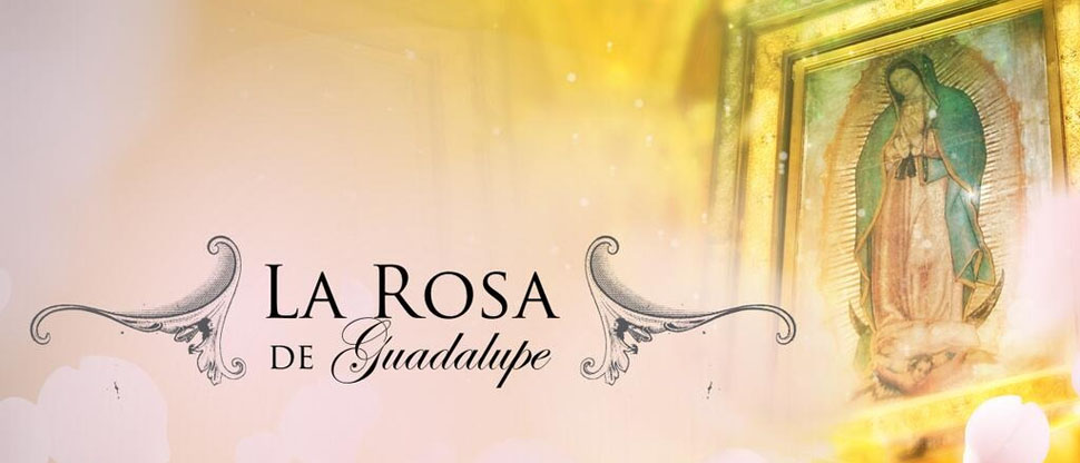 Fallece actriz del elenco de La Rosa de Guadalupe