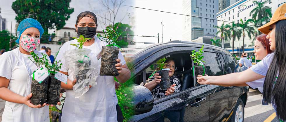 Entregan miles de árboles por el Día Internacional de la Tierra 