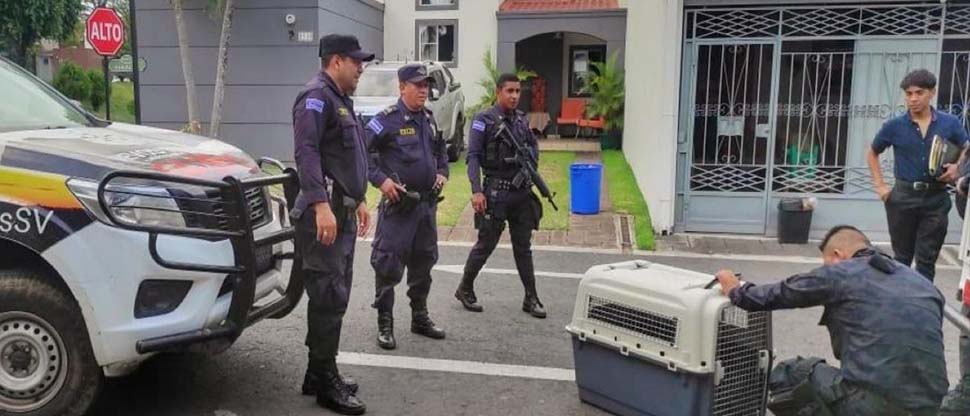 Policía localiza halcón en residencial Las Arboledas y es entregado a Medio Ambiente