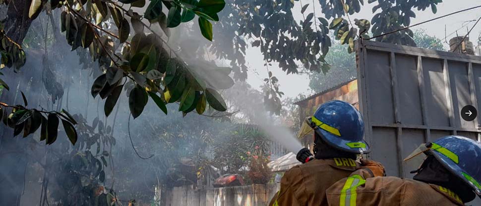 Bomberos controlan incendio en un árbol en Tonacatepeque