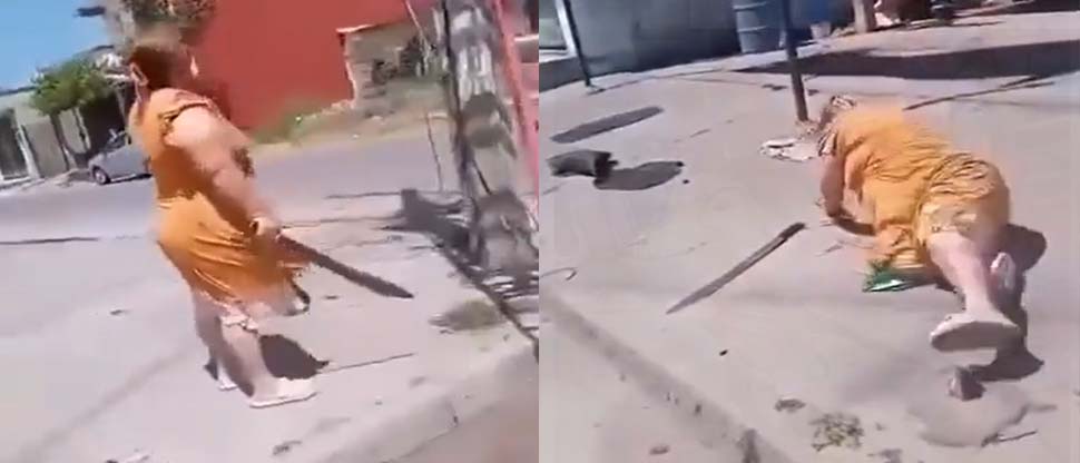 Mujer amenaza con machete en mano a trabajadores que procedían a cortarle la luz y sufre los 3 doritos después