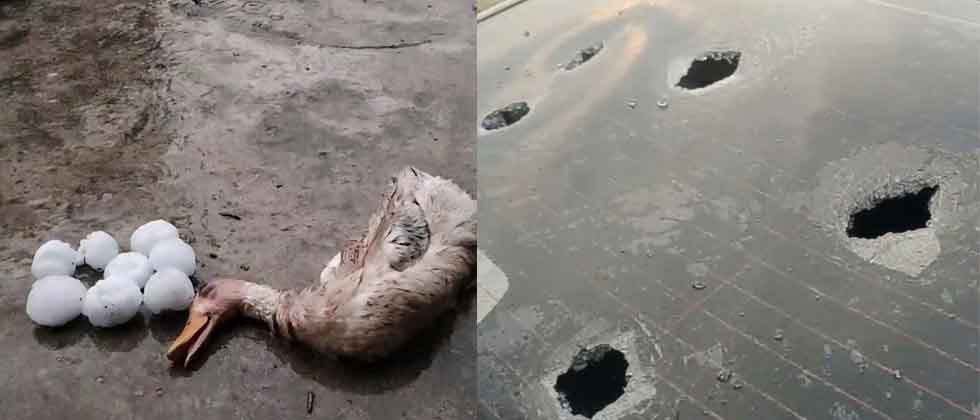 Viralizan los daños que dejaron fuertes lluvias al suroeste de China