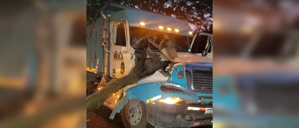 Árbol cae en rastra y deja a conductor lesionado en San Miguel