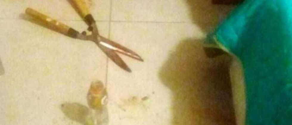 Mujer que cortó el miembro a su expareja es condenada a 7 años de cárcel