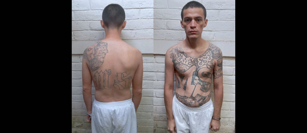 Vuelve a su celda peligroso MS que antes operaba en el Centro de San Salvador
