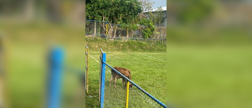 Club de fútbol profesional salvadoreño pide a sus vecinos que no agarren su cancha de potrero