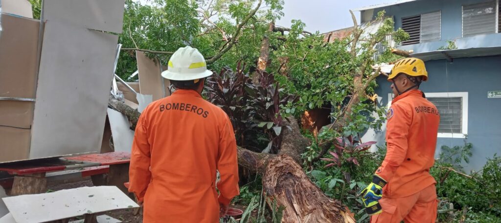 Lluvias de las últimas horas provocan caída de árbol en colegio de Santa Ana
