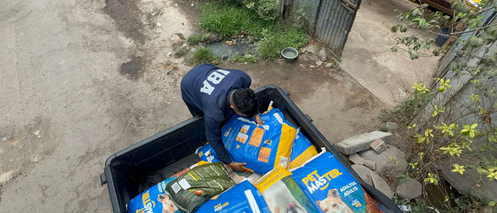El Instituto de Bienestar Animal beneficia a más de 2,000 perros y gatos con la entrega de alimento