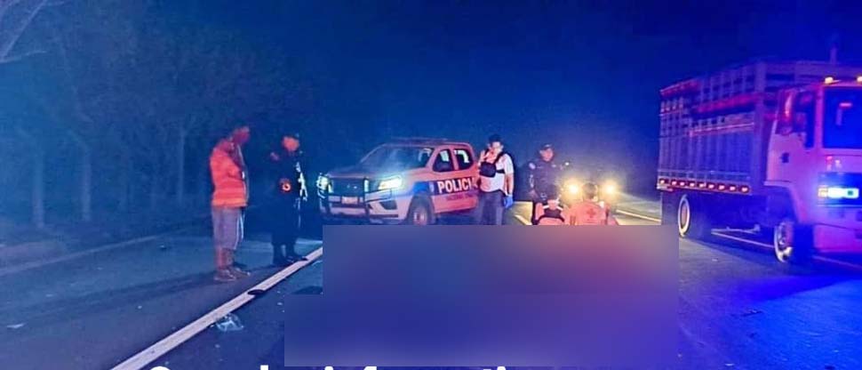 Fallece conductora repartidora tras impactar con un camión