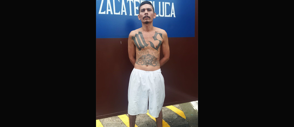 Vuelve a su celda MS que pensó iba a quedar libre tras acabar una condena