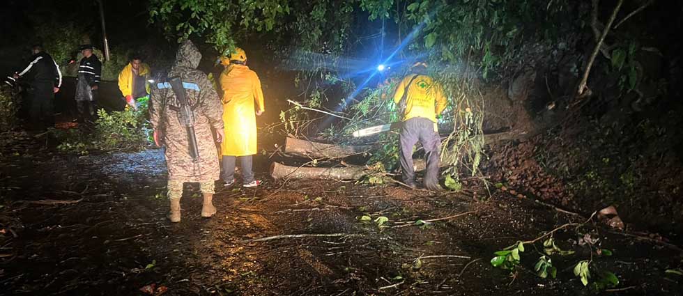 Remueven árbol que bloqueaba paso de Sensuntepeque a Ciudad Victoria