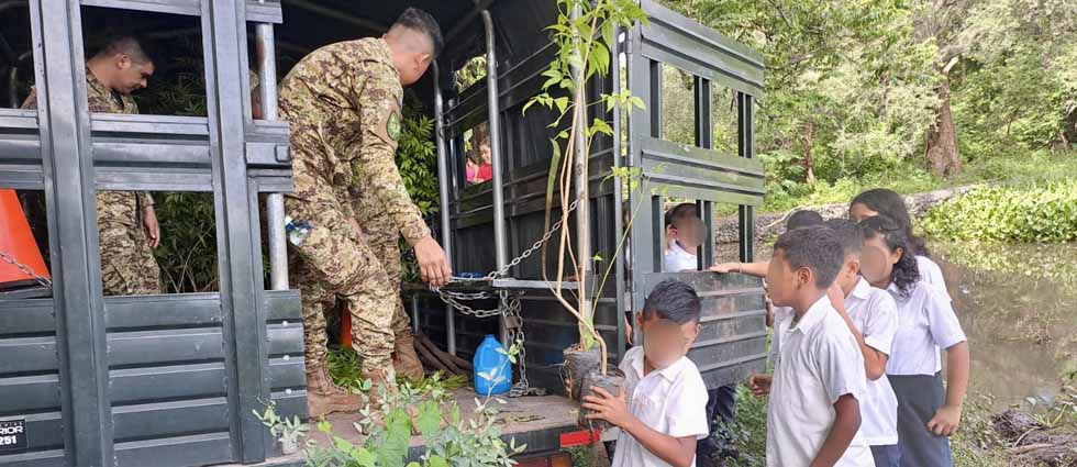 Militares junto a otras instituciones realizan campaña de reforestación en La Paz