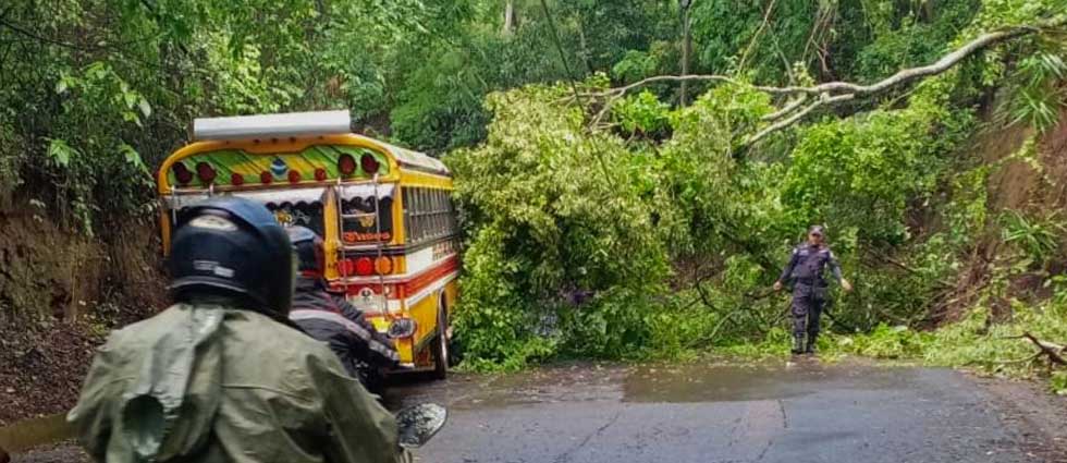 Policías remueven árbol que obstruía el paso en vía que conecta dos distritos de Ahuachapán