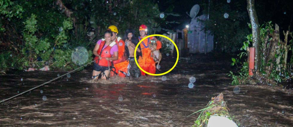 Evacúan a dos personas tras quedar atrapadas en su vivienda por río desbordado